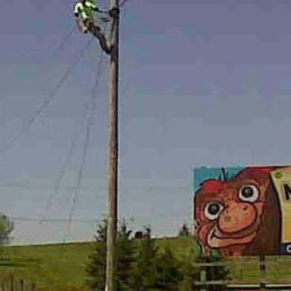 Meet your Posher, Konrad - Picture 1 of 1